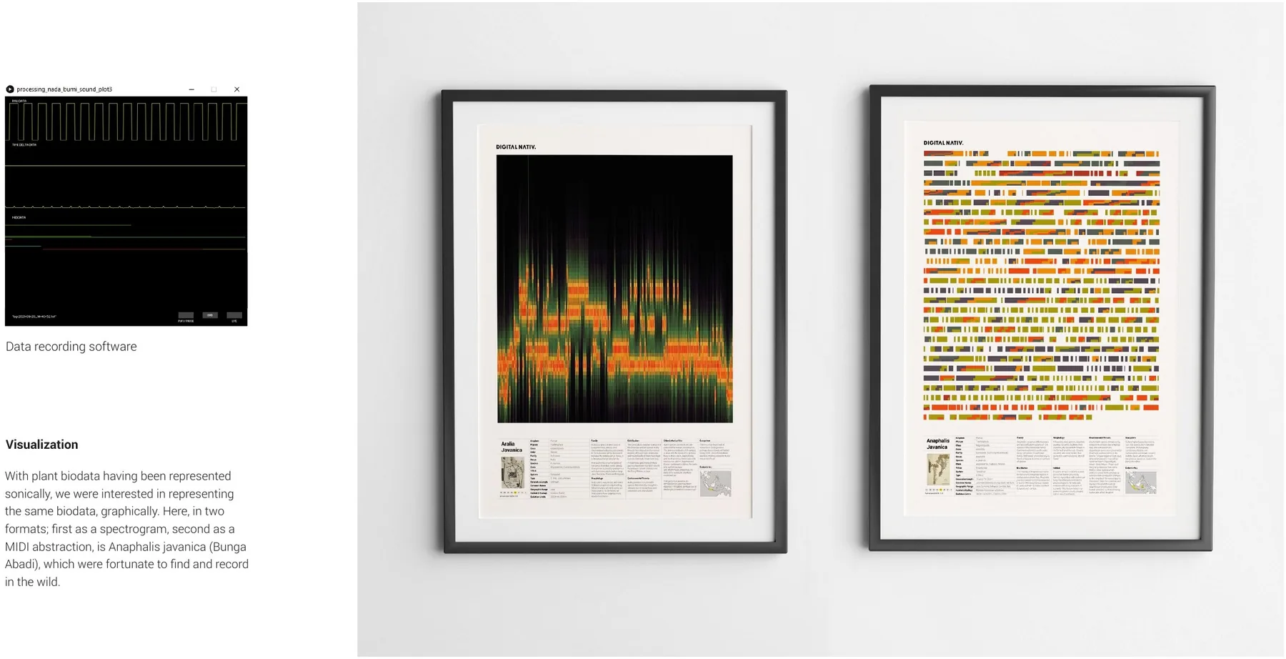 Data recording software — spectrogram and MIDI abstraction
